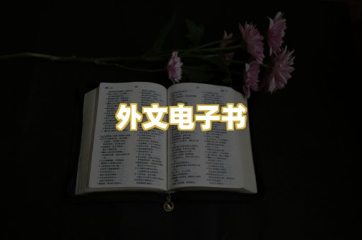 外文电子书